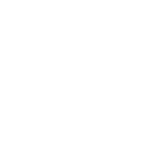 Logo weiss Bureau Veritas
